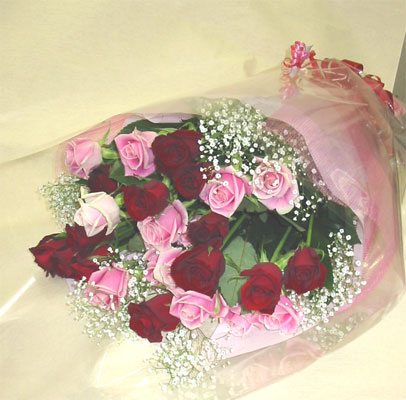 ����ԁ@���ԉԑ�/�ԁ��s���N���[�Y�u�[�P